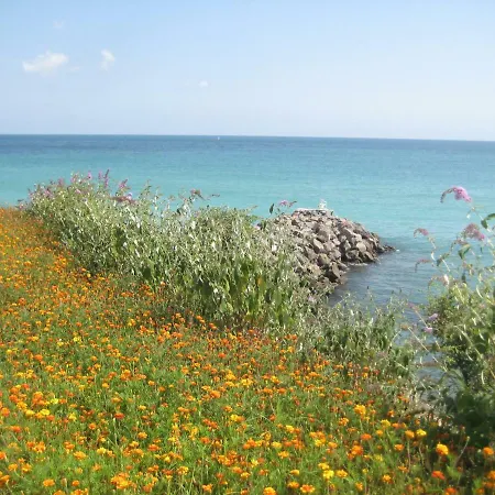 Apartment, Meerblick Sonnenstrand, Seaview Sunny Beach 아파트 *